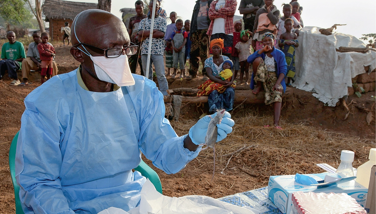 Fears As Lassa Fever Kills 13 In Edo, 115 Cases Recorded