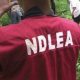 NDLEA Speaks On Recruiting Underage As Operative