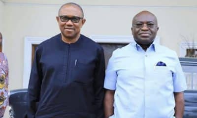 I Saw The Peter Obi Effect Coming Before Elections - Ikpeazu