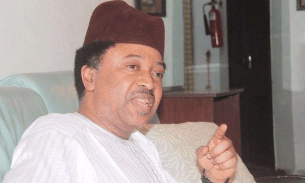 Naira Scarcity: Direct Your Anger To The Right Target - Shehu Sani Tells Governors