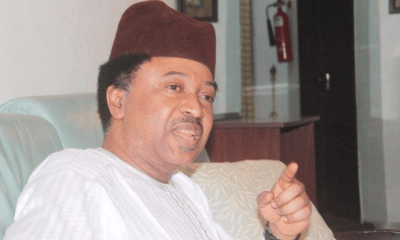 Shehu Sani Reacts As Yemi Cardoso Confirmed As CBN Governor