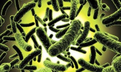 JUST IN: Diphtheria Disease Hits Four States, See People At Risk Of Contracting It