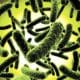 JUST IN: Diphtheria Disease Hits Four States, See People At Risk Of Contracting It