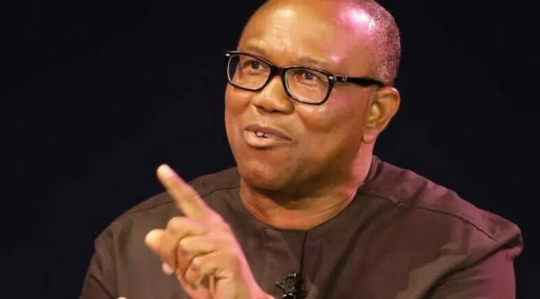 Peter Obi Reveals Next Plan If INEC Refuses To Allow Him Access To Election Materials