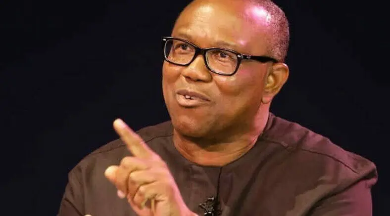 We Are Shocked By Presidential Tribunal Judgement - Peter Obi Diaspora Group Speaks