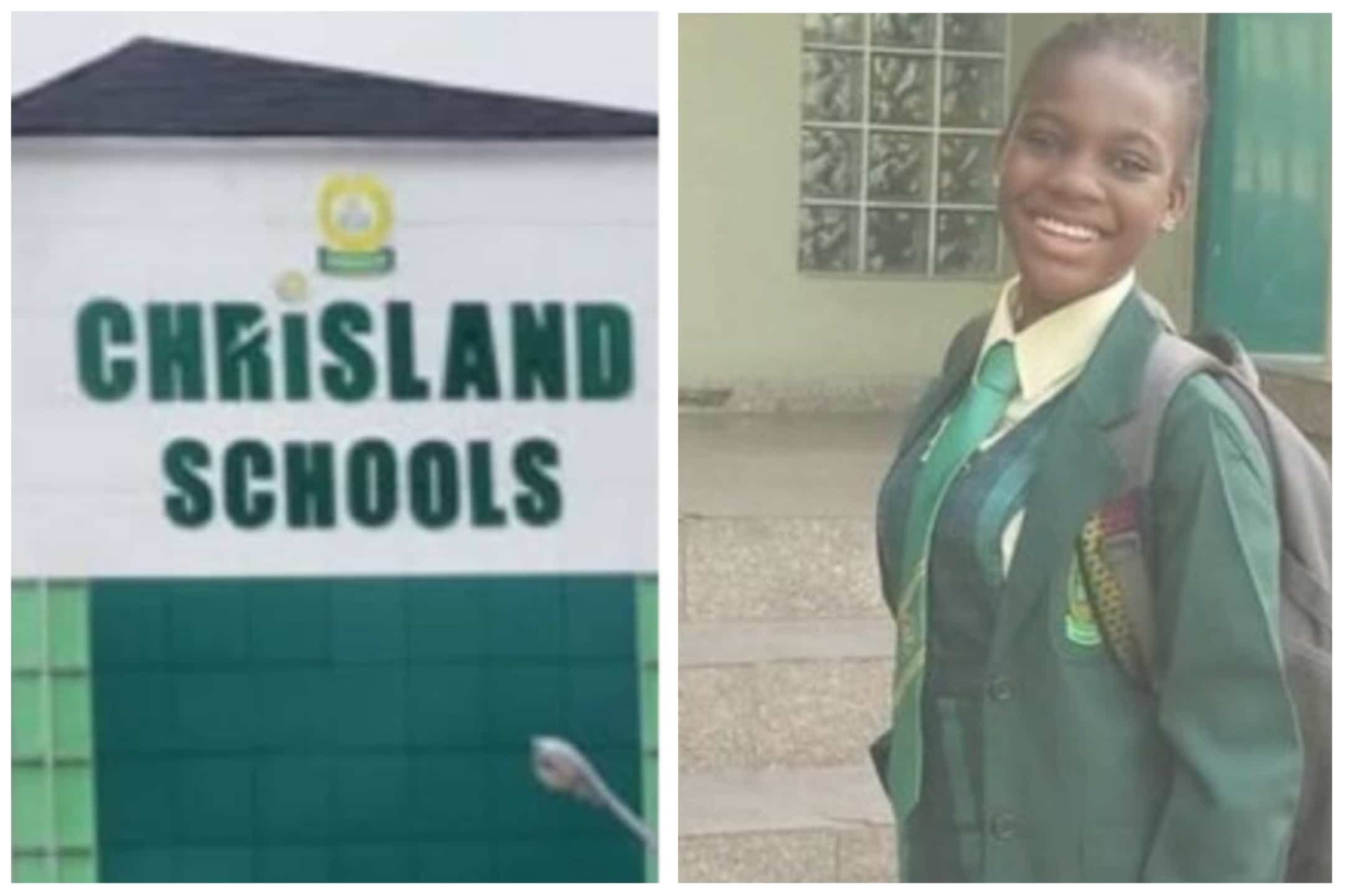 Whitney Adeniran: No Reason To Shut Down Chrisland School - Lagos Deputy Gov