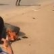 Nnamdi Kanu: Mob Set Ablaze 'IPOB' Sit-At-home Enforcer In Anambra
