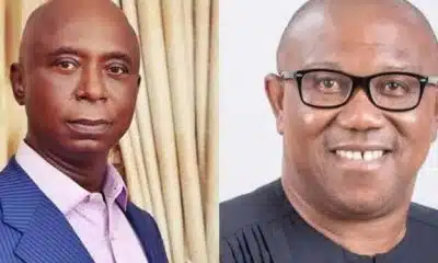 Your Petition Against Tinubu Is A Waste Of Effort – Ned Nwoko Fires Peter Obi