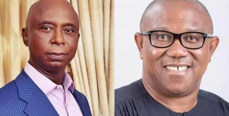 Your Petition Against Tinubu Is A Waste Of Effort – Ned Nwoko Fires Peter Obi