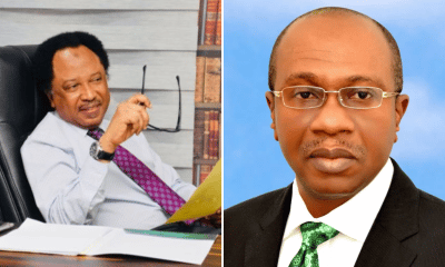Emefiele's Presidential Form: Shehu Sani Sends Sensitive Message To Bankers