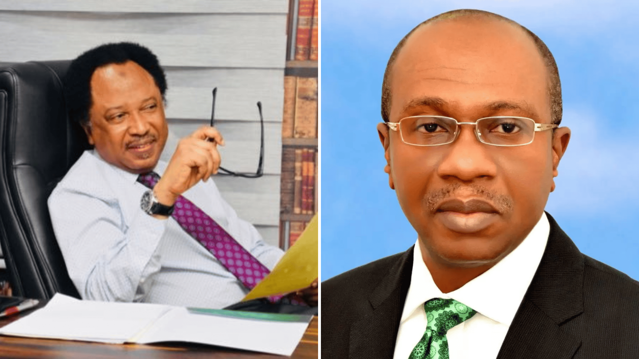 Emefiele's Presidential Form: Shehu Sani Sends Sensitive Message To Bankers