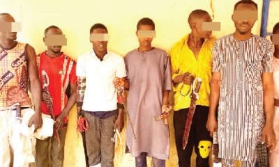 Police Arrests 10 Suspected Political Thugs In Sokoto
