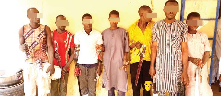 Police Arrests 10 Suspected Political Thugs In Sokoto