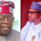 It’s Payback Time - APC Chieftain Speaks On Buhari's Actions Against Tinubu