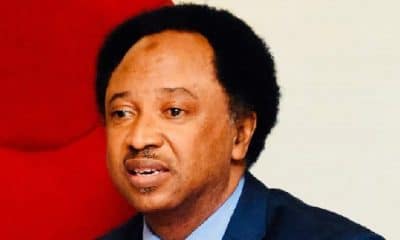 It Is Wrong: Shehu Sani Warns As Nigeria Reportedly Cuts Off Electricity Supply To Niger Republic