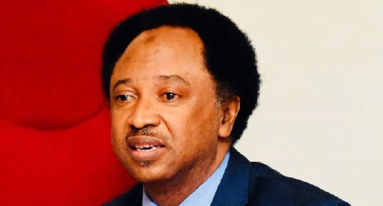 It Is Wrong: Shehu Sani Warns As Nigeria Reportedly Cuts Off Electricity Supply To Niger Republic