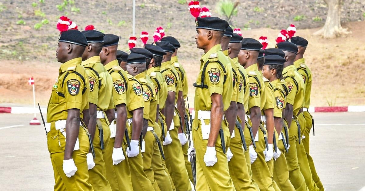 NDLEA Recruitment: Confusion As Application Portal Crashes