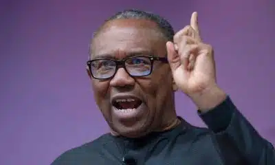 Even During Party Primaries, People Share Dollars - Peter Obi Laments