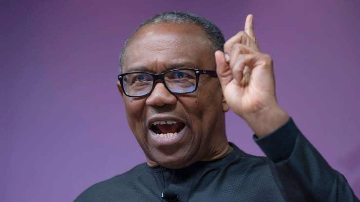 Even During Party Primaries, People Share Dollars - Peter Obi Laments