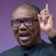 "They Cannot Stop Being Fraudulent" - Peter Obi Reacts To Alleged Conversation With Bishop Oyedepo