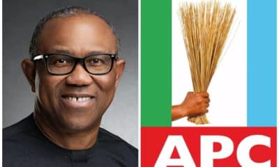 Peter Obi Is Really Crossing The Line, He Needs To Relax - APC
