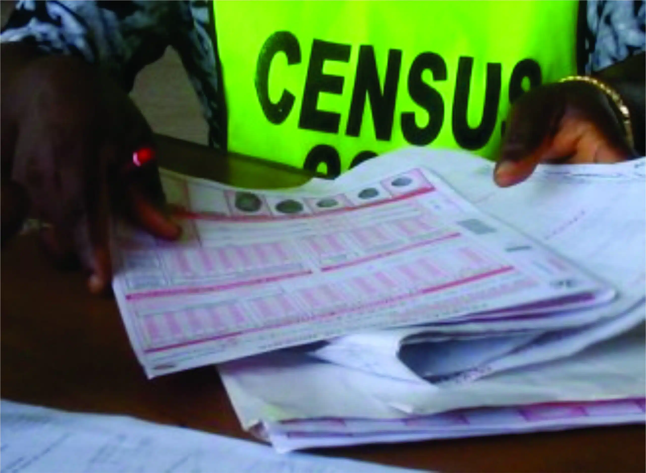 N200bn Has Been Spent For 2023 Census Preparation - NPC