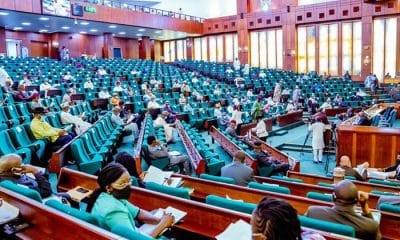 House Of Reps Passes Independent Candidacy Bill Into Law