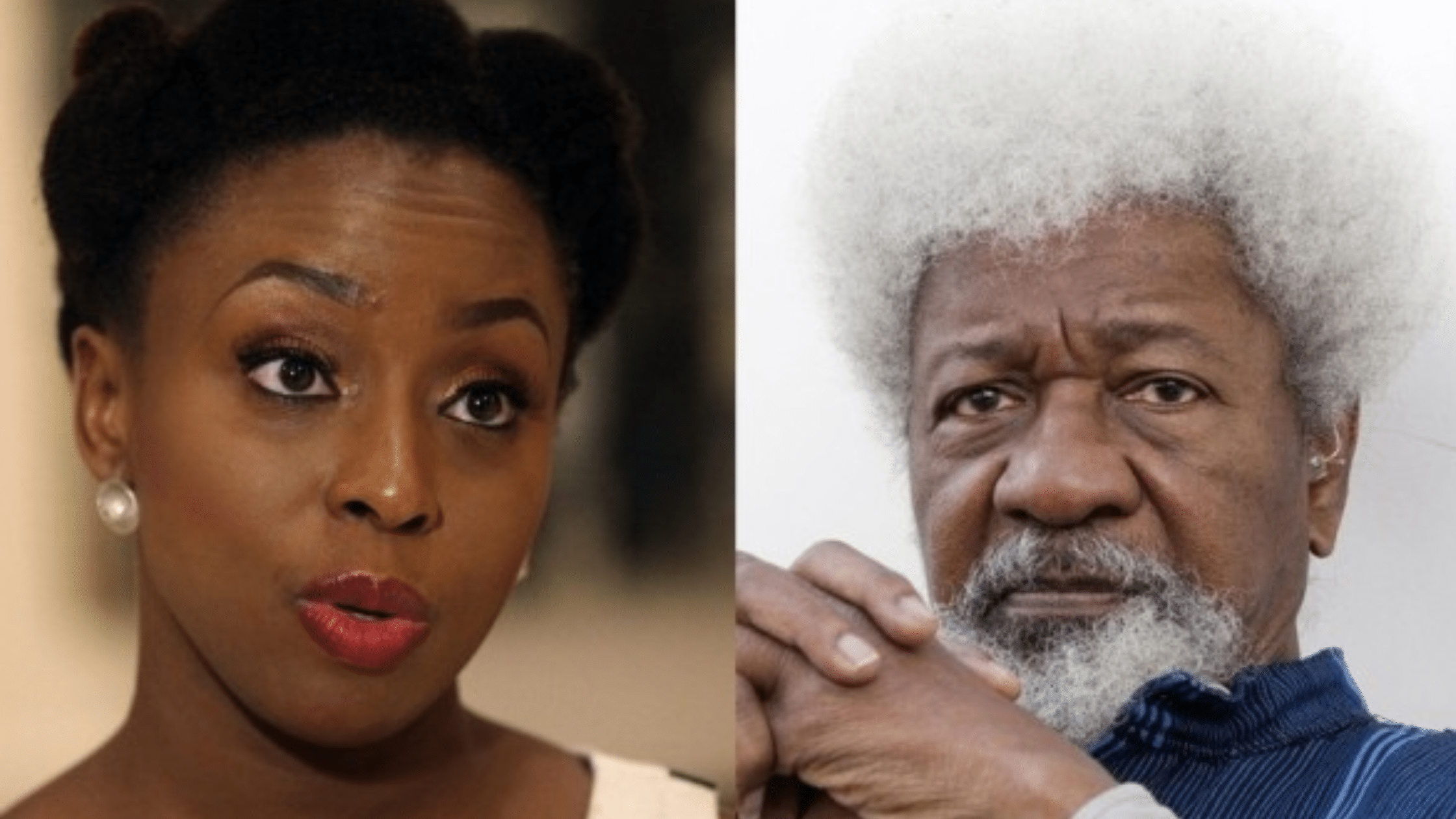 David Vs Goliath: Debate With Chimamanda Not Yusuf Datti, Atiku’s Camp Tells Soyinka