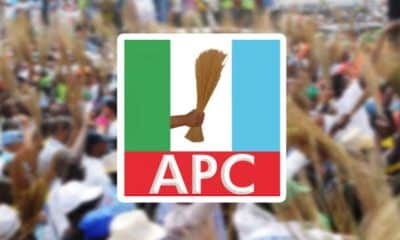 APC Reacts As Oppostion Knocks US Secretary Of State For Calling Tinubu