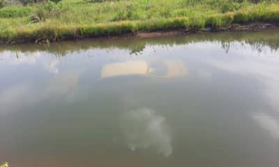 Five Die As Car Plunges Into River In Kogi