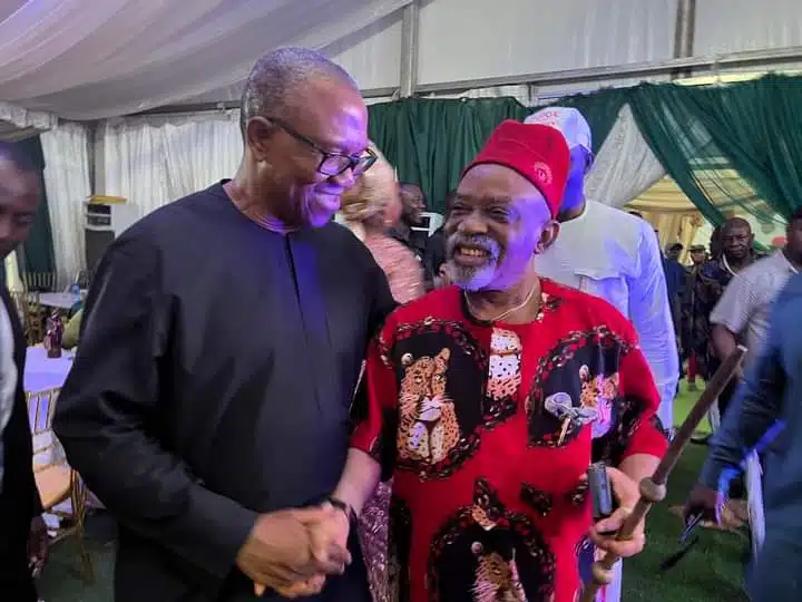 Ngige Meets Peter Obi In Abuja [Video]