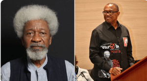 Soyinka Influenced By Emilokan Sentiment To Say Peter Obi Lost Presidential Election - Labour Party