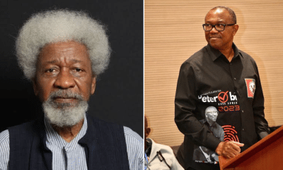 Soyinka Influenced By Emilokan Sentiment To Say Peter Obi Lost Presidential Election - Labour Party