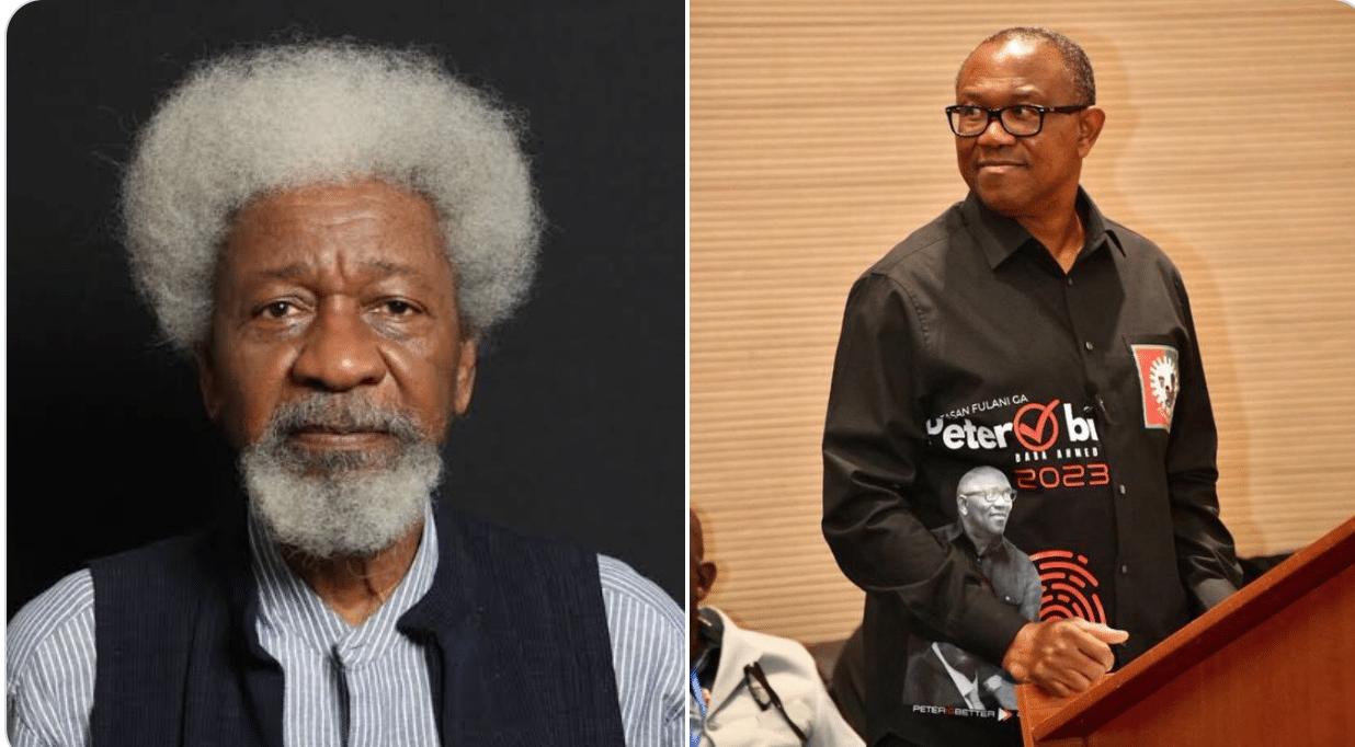Nobel Laureate Wole Soyinka Accuses Supporters of Peter Obi of Fascism