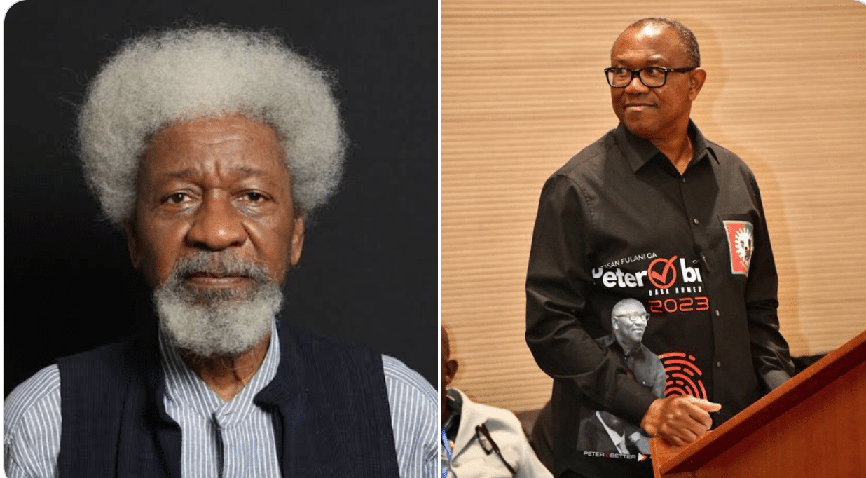 Soyinka Influenced By Emilokan Sentiment To Say Peter Obi Lost Presidential Election - Labour Party