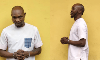 Police Give Update On Seun Kuti's Case, Issue Strong Warning