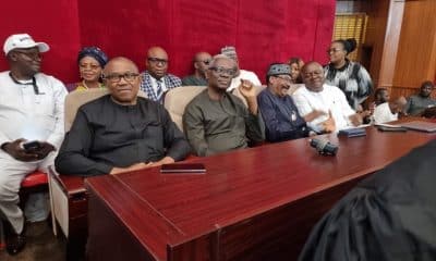 What Peter Obi's First Witness Told Tribunal About Tinubu In Court