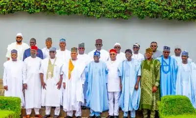APC Governors Declare Position On Fuel Subsidy Removal