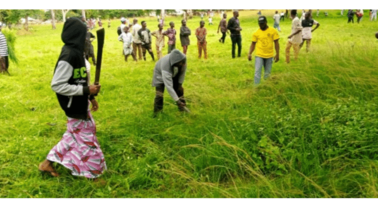Eid-El-Kabir 2023: Christians Join Muslims To Clear Grass On Kaduna Praying Ground