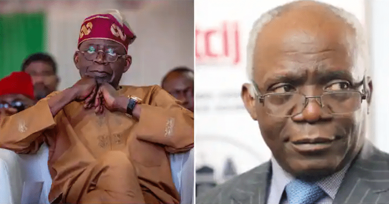 'It Is Illegal, Stop Parading Yourself As Petroleum Minister' - Falana Tells President Tinubu