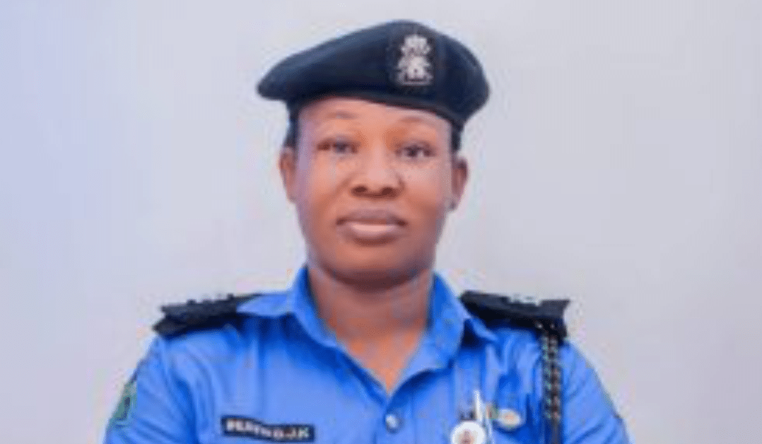 IGP Baba Appoints Ihunwo As Zone 13 PPRO