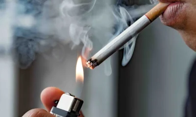 Eight Million Nigerians, Others Die Of Tobacco Smoke Annually - WHO