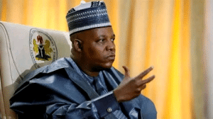 Fuel Subsidy Removal: Nigerians Now Enjoying The Benefits - VP Shettima