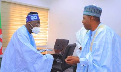There Will Be Consequences If Tinubu Uses His Power To Pass Tax Reform Bills - Zulum