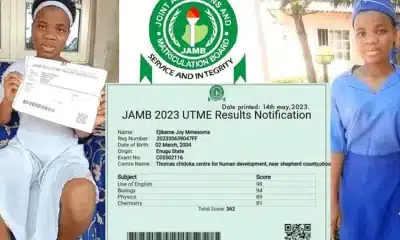 List Of Professors, Others Set Up To Investigate JAMB, Mmesoma Ejike's UTME Score Saga