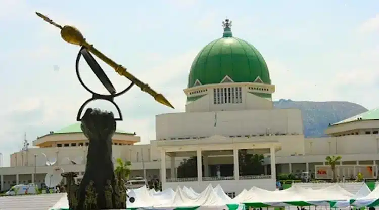 National Assembly Fixes Date To  Deliver New Constitution