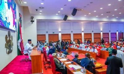 BREAKING: Senate Confirms NDDC Board Members, Management