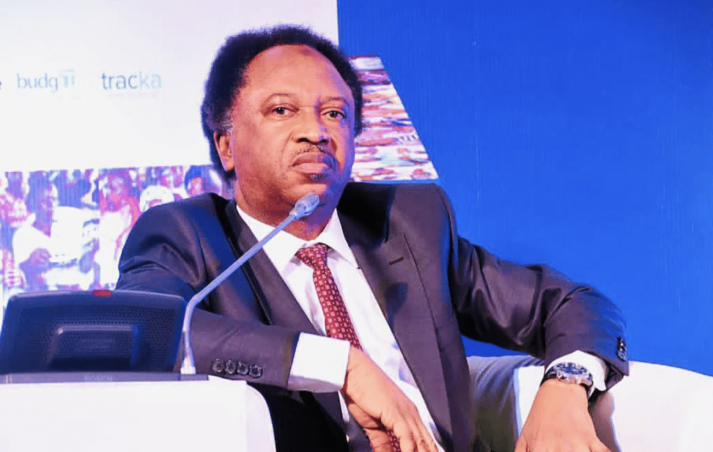 Former Lawmaker Shehu Sani Calls for Single Currency in West Africa, Urges Economic Integration