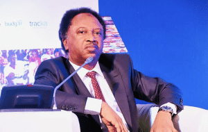 Shehu Sani Reacts As Petrol Price Hits N617/litre