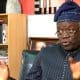 Falana Gives FG Ultimatum To Compensate Victims Of Military Airstrikes